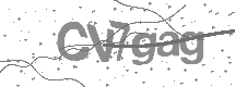 visual captcha